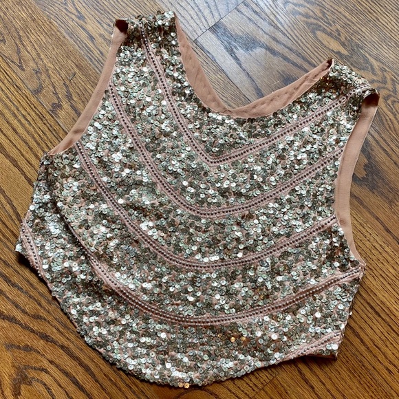 Haute Hippie Tops - Haute Hippie Sequined Cropped Silk Vest Sz S NWOT